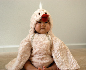 chicken