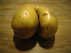 ass ass