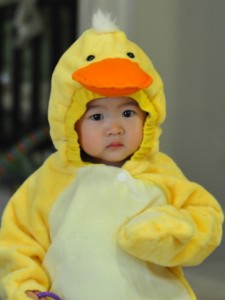 DSC_3635 DSC_3635