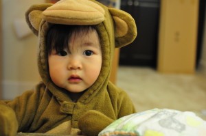 DSC_3700 DSC_3700