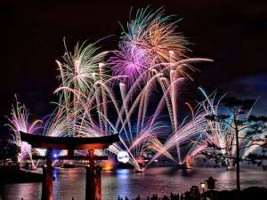 fireworks.jpg fireworks