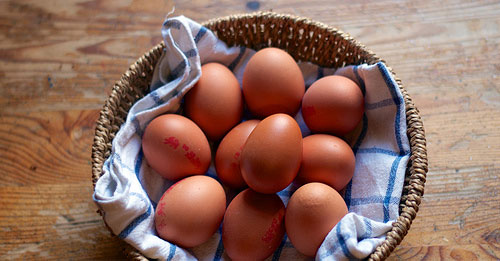 eggs in basket