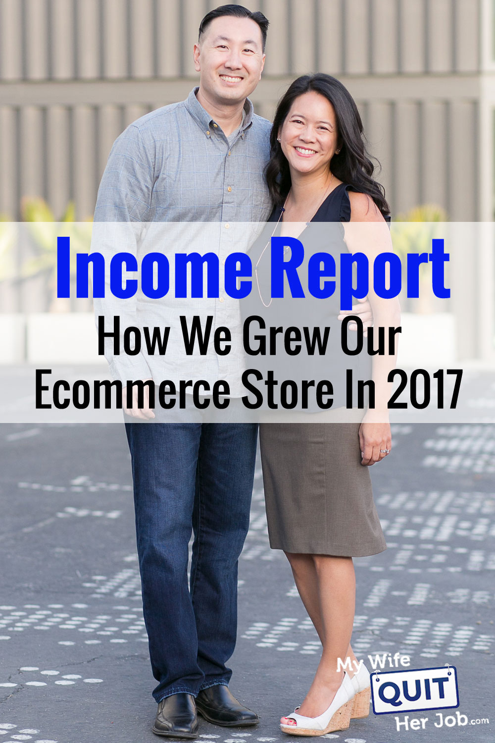 2017 Income Report: How We Grew Our Online Store This Past Year