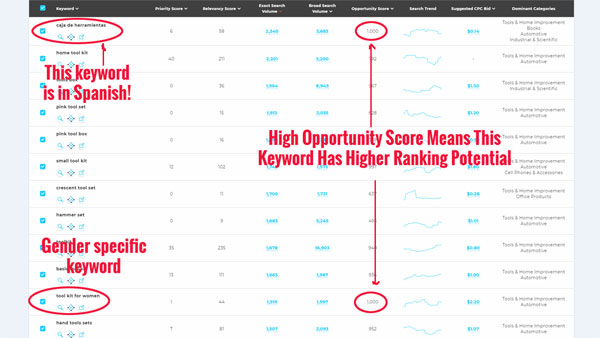 Viral Launch Keyword Research Example