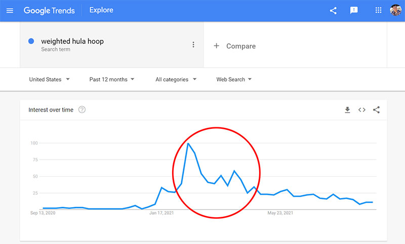 Google Trends Weighted Hula Hoop