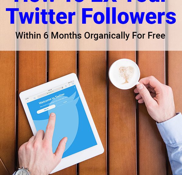 A Simple Strategy To 2X Your Twitter Followers In 6 Months (Organically For Free)