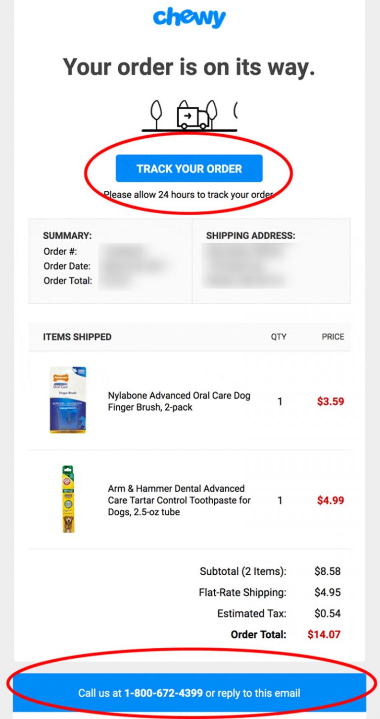 Order Confirmation Emails: Templates And Best Practices For Ecommerce