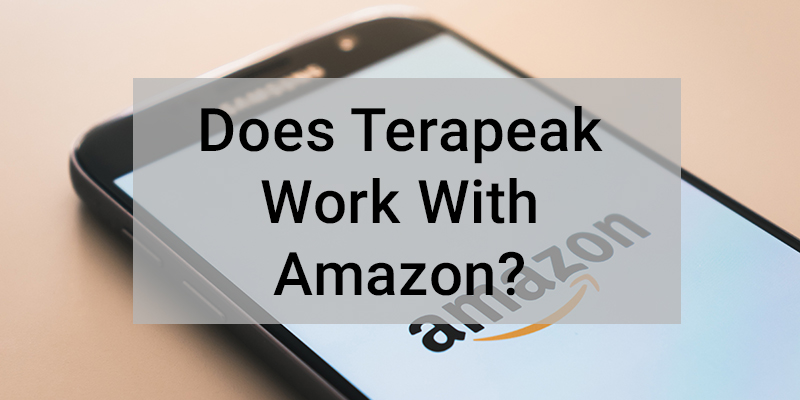 Does Terapeak Work With Amazon