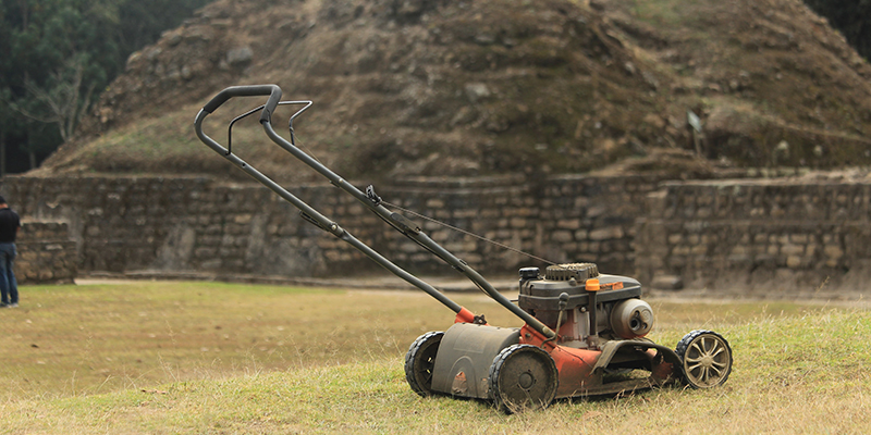 Lawn Mowing