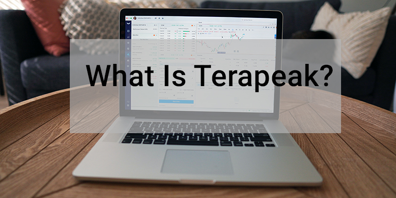 What is Terapeak