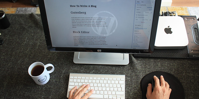 A shot of a person editing a WordPress blog
