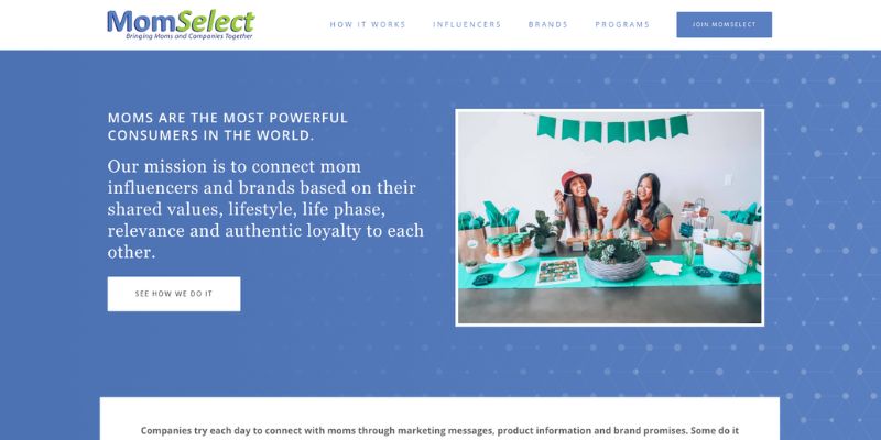 screenshot of momselect homepage