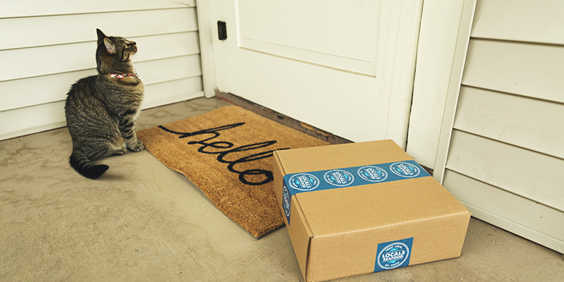 A cat and a carton at a doorstep