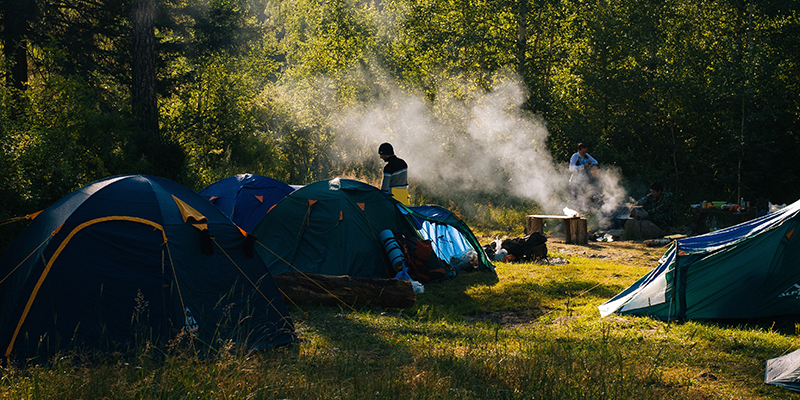 Camping tents in a forest